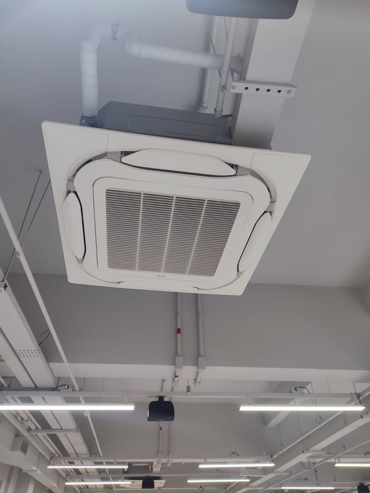 WhatsApp Image 2026-02-23 at 4.39.37 PM (3)